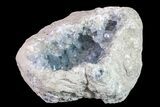 Sky Blue Celestine (Celestite) Geode ( Lbs) - Madagascar #156509-2